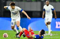 开云体育链接-雄狮将在比赛中对决霍芬海姆