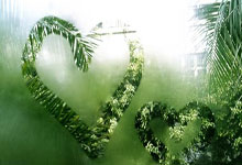 开云体育投注-里尔前锋连场破门，引领球队进攻