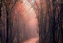 中场硬仗，法甲球队战绩波折