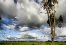 改写成塞拉利昂足球队壮志凌云