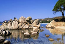 雄鹿后卫场上发威，超神表现引领球队获胜！